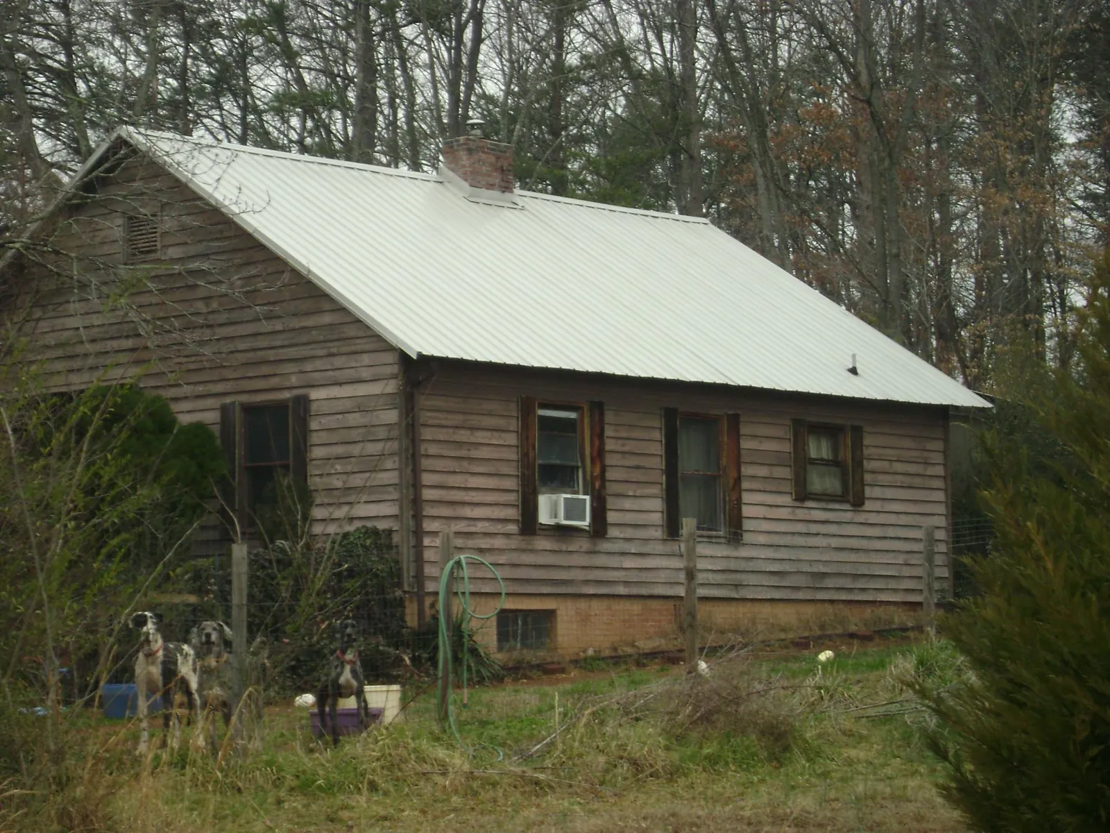 White metal roof on an old wood sided farmhouse, from a Asphalt Shingle Roof Repair job in Liberty